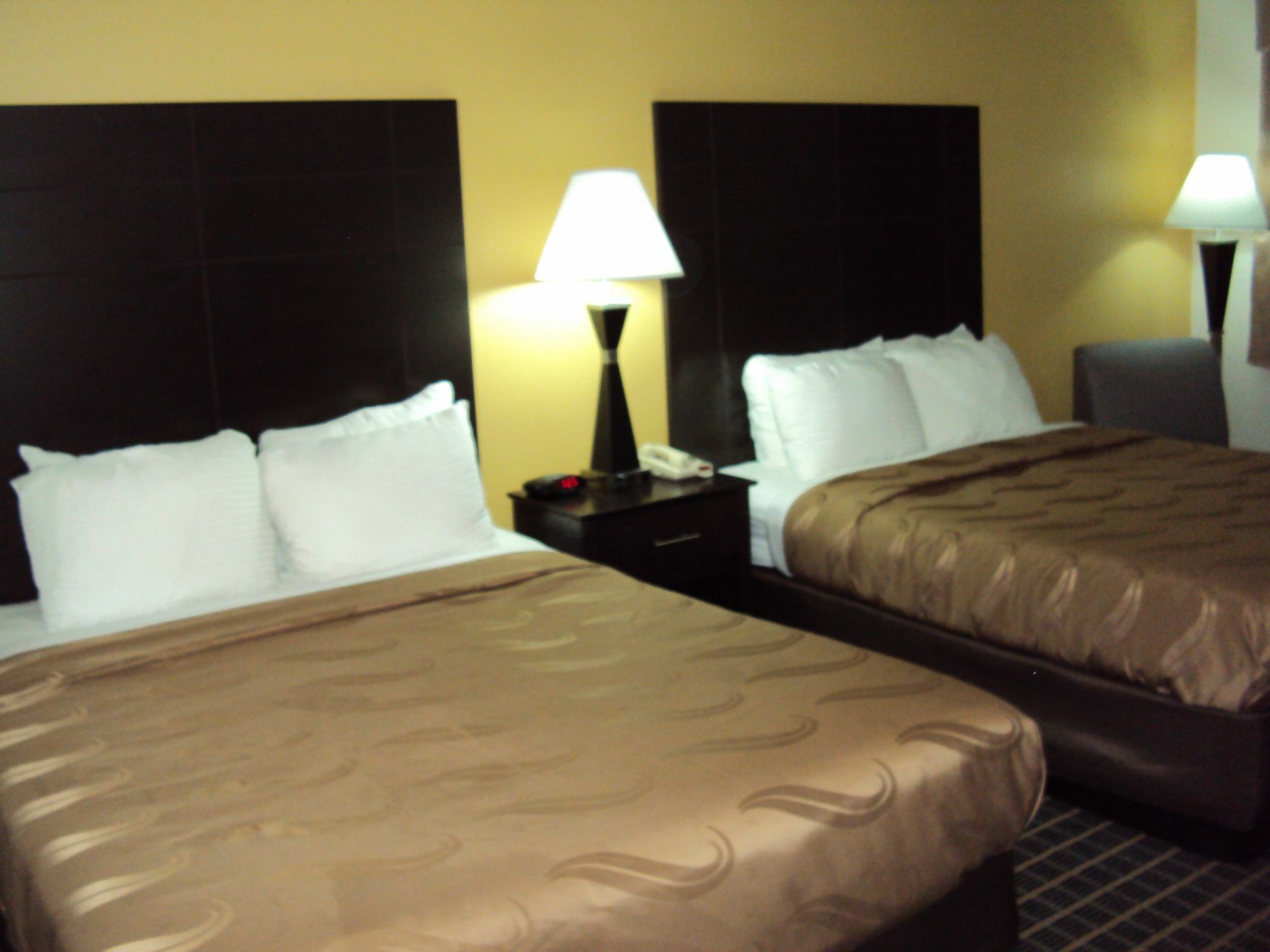Quality Inn Carbondale University Area Exterior foto